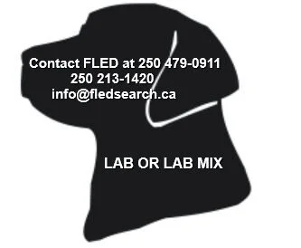 NOTHING MORE REPORTED - MAR. 11, 2020 - LANGFORD BC