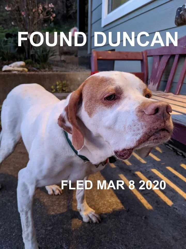 HAPPY TAILS - DUNCAN BC - MAR 8, 2020