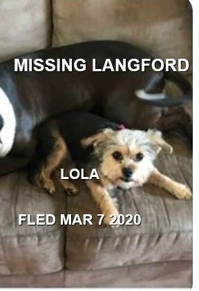 HAPPY TAILS - LANGFORD BC - MAR. 7, 2020