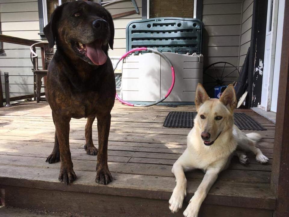 HAPPY TAILS - COBBLE HILL BC - MAR 6, 2020