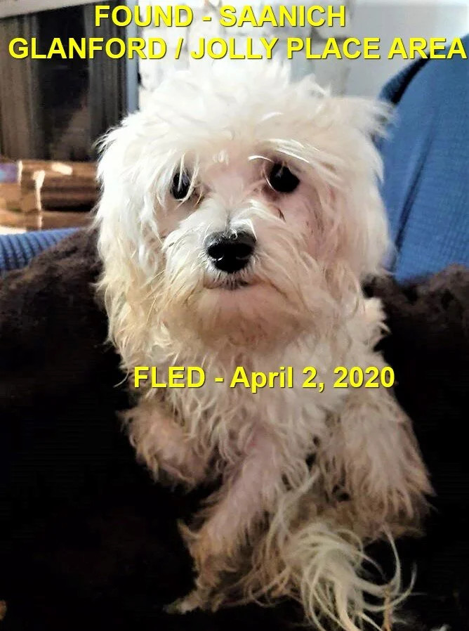 HAPPY TAILS - SAANICH BC - APR. 2, 2020