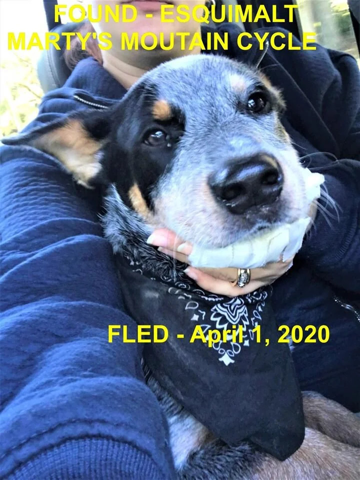 HAPPY TAILS - ESQUIMALT BC - APR. 1, 2020