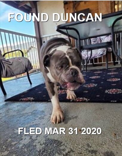 HAPPY TAILS - MAR. 31, 2020