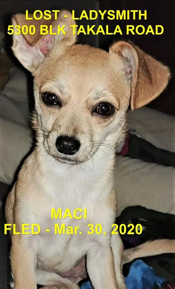 HAPPY TAILS - LADYSMITH - MAR. 25, 2020