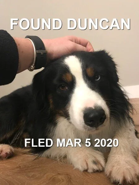 HAPPY TAILS - DUNCAN - MAR. 5, 2020