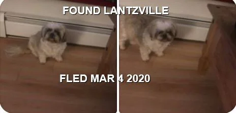 HAPPY TAILS - LANTZVILLE BC - MAR. 54 2020