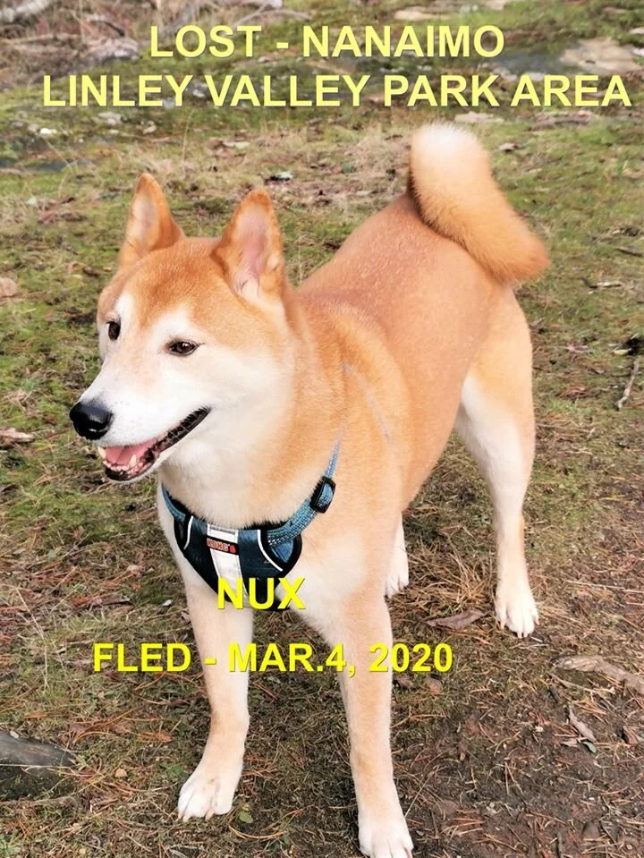 HAPPY TAILS - NANAIMO BC - MAR. 4, 2020