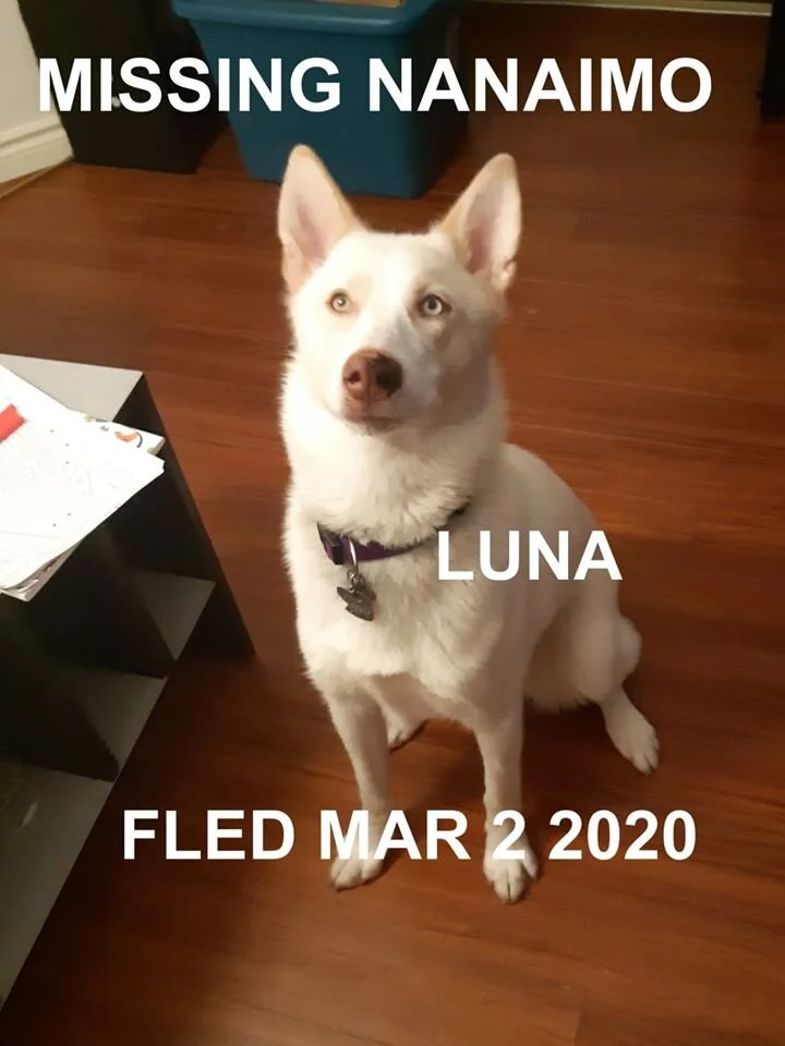 HAPPY TAILS - MAR. 2, 2020