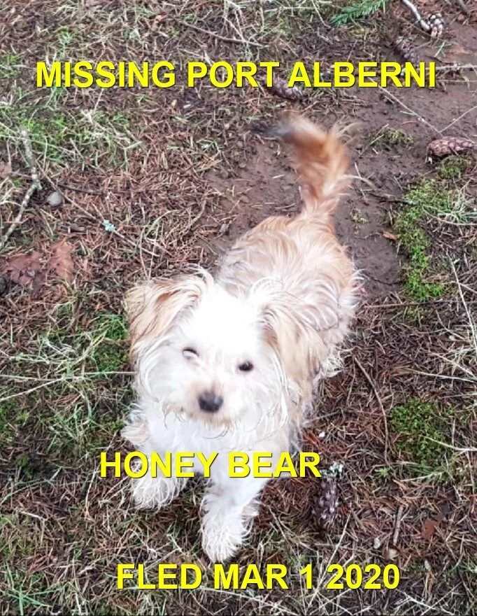 HAPPY TAILS - PORT ALBERNI - FEB. 29, 2020