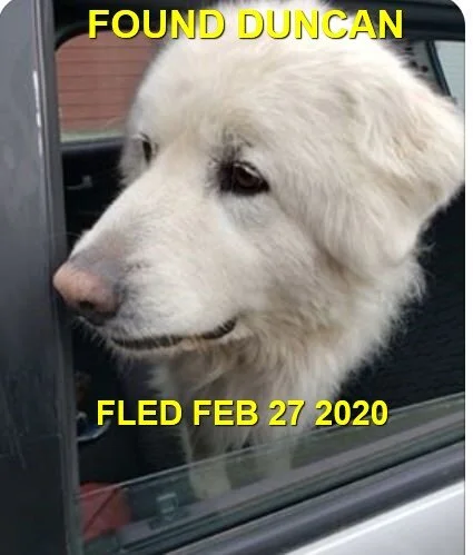 HAPPY TAILS - DUNCAN BC - FEB 27, 2020