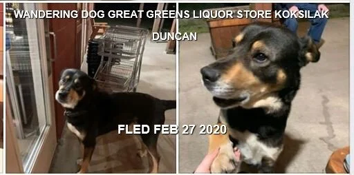 HAPPY TAILS - DUNCAN BC - FEB. 27, 2020