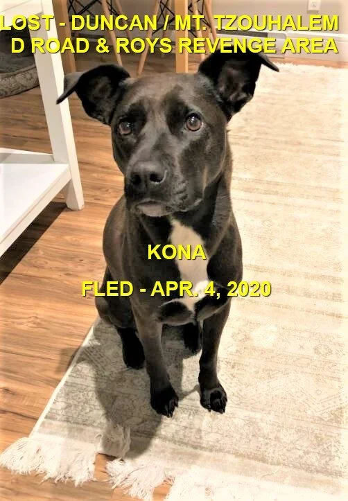 HAPPY TAILS - DUNCAN BC / MT. TZOUHALEM - APR. 4, 2020