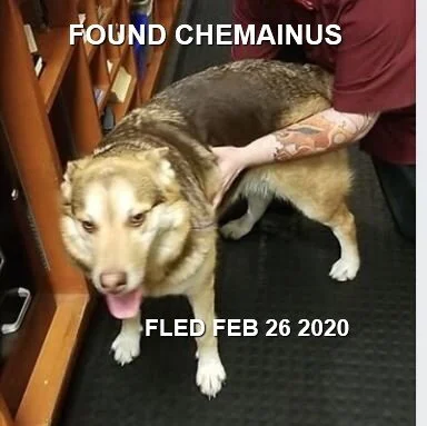 HAPPY TAILS - CHEMAINUS BC - FEB. 26, 2020