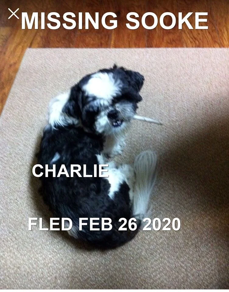 HAPPY TAILS - SOOKE BC - FEB. 26, 2020