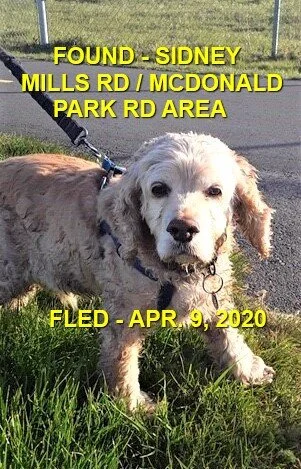 HAPPY TAILS - SIDNEY BC. - APR. 9, 2020