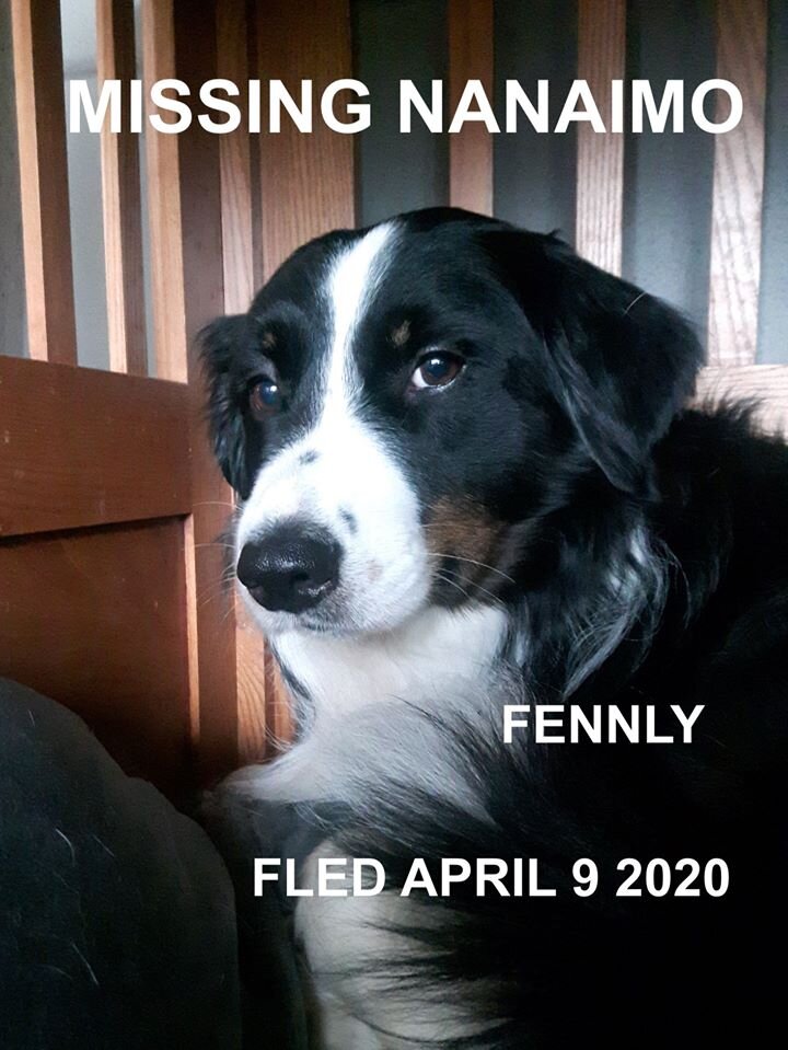 HAPPY TAILS - NANAIMO BC - APR. 9, 2020