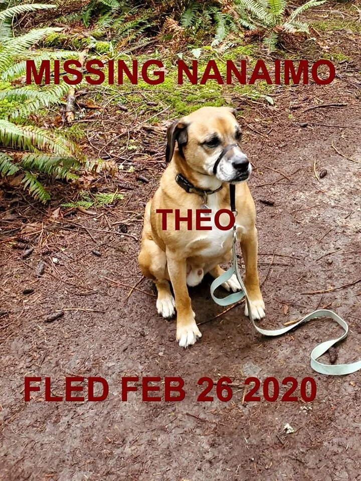 HAPPY TAILS - NANAIMO BC - FEB. 26, 2020