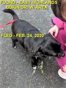 HAPPY TAILS - EAST HIGHLANDS BC - FEB. 24, 2020
