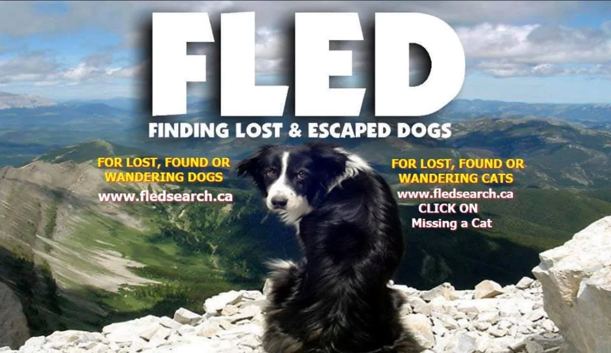 THANK YOU - UNITED FOR A PAWS - DUNCAN BC