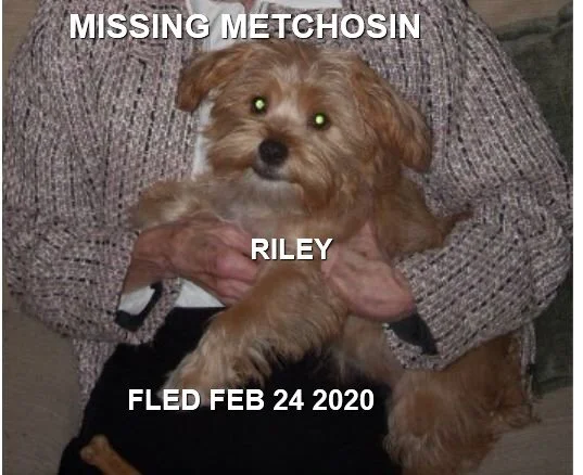 HAPPY TAILS - METCHOSIN BC. - FEB. 23, 2020