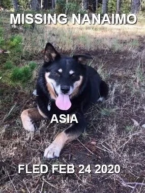 HAPPY TAILS - NANAIMO BC - FEB. 23, 2020