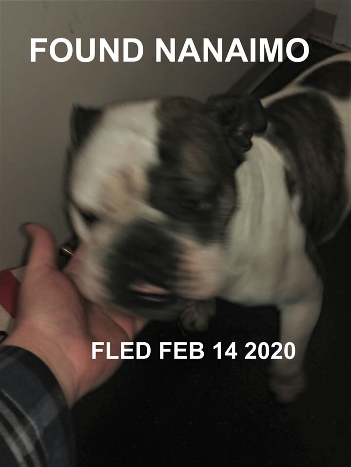 HAPPY TAILS - NANAIMO BC - FEB. 14, 2020