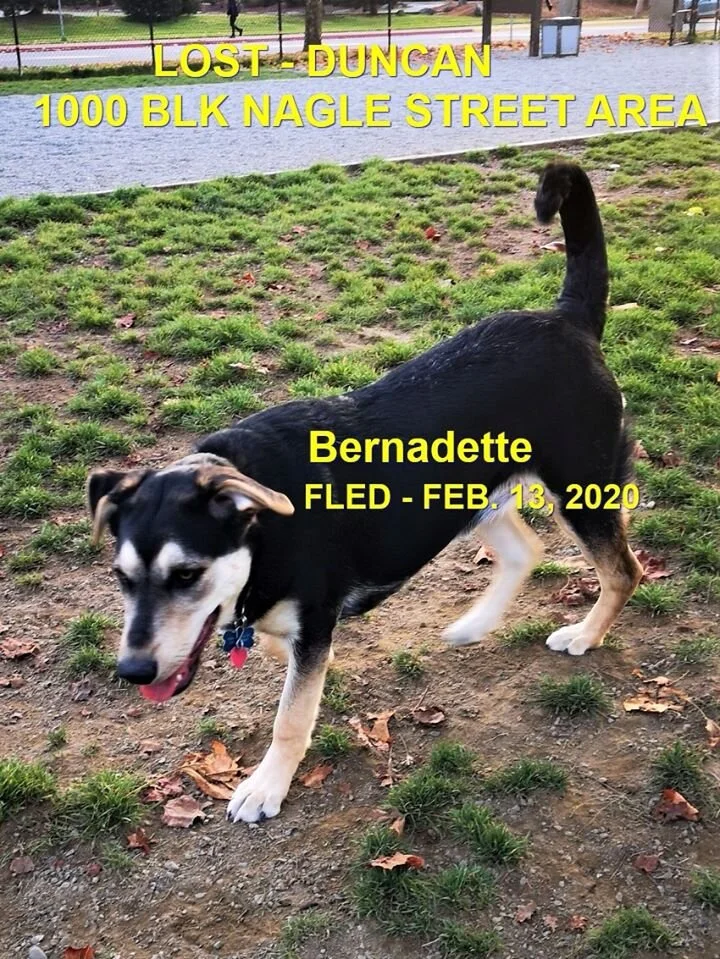 HAPPY TAILS - DUNCAN BC - FEB 13, 2020