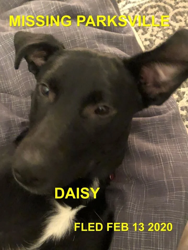 HAPPY TAILS - PARKSVILLE BC - FEB 13, 2020