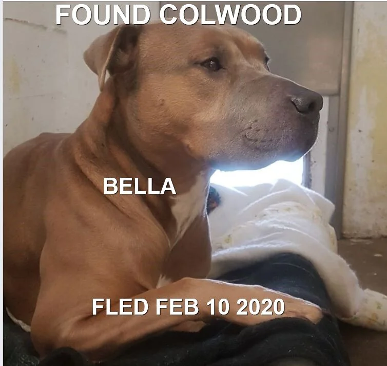WENT TO SHELTER - COLWOOD BC - FEB 10, 2020