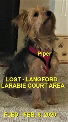 HAPPY TAILS - LANGFORD BC - FEB. 8, 2020