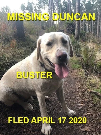 HAPPY TAILS - DUNCAN BC- APR. 16, 2020