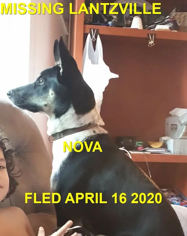 HAPPY TAILS - LANTZVILLE BC - APR. 15/2020