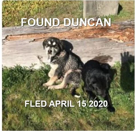 HT - OWNERS FOUND - DUNCAN BC - APR. 15/2020