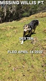 HAPPY TAILS - SAANICH - APR. 14/2020