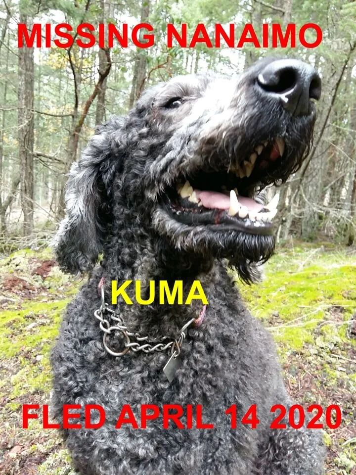 HAPPY TAILS - NANAIMO BC - APR. 14/2020