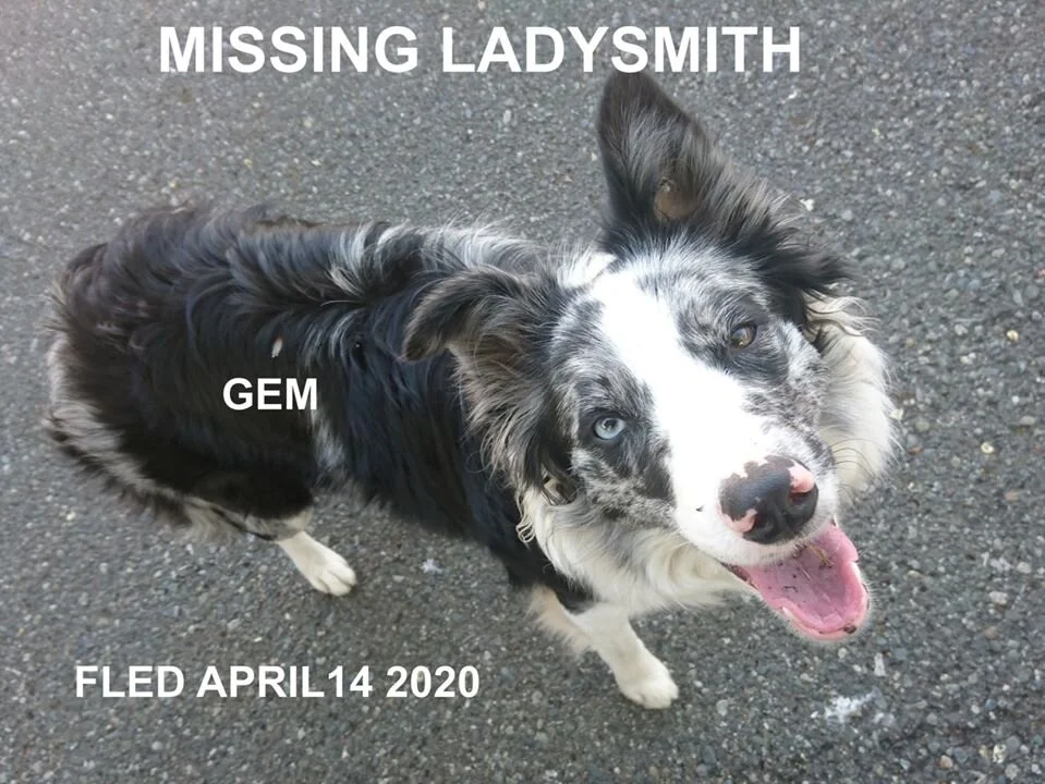 HAPPY TAILS - LADYSMITH BC - APR. 14/2020