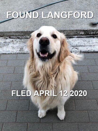 HAPPY TAILS - LANGFORD BC - APR 12/2020