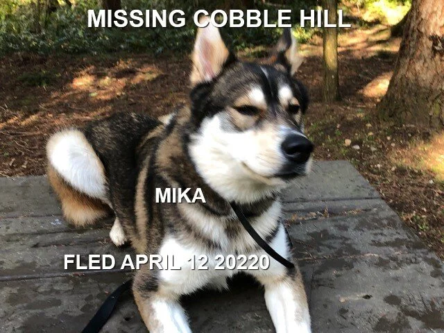 HAPPY TAILS - COBBLE HILL BC - APR. 12/2020