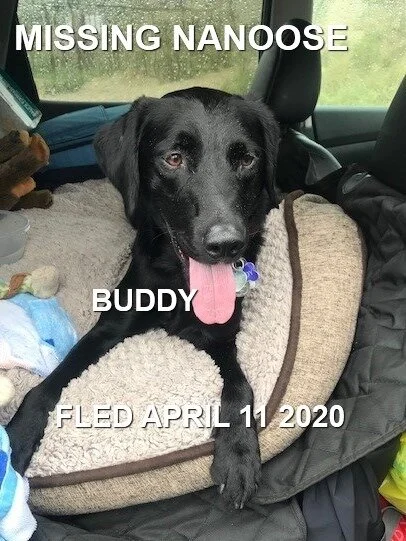 HAPPY TAILS - NANOOSE BAY BC - APR. 11/2020