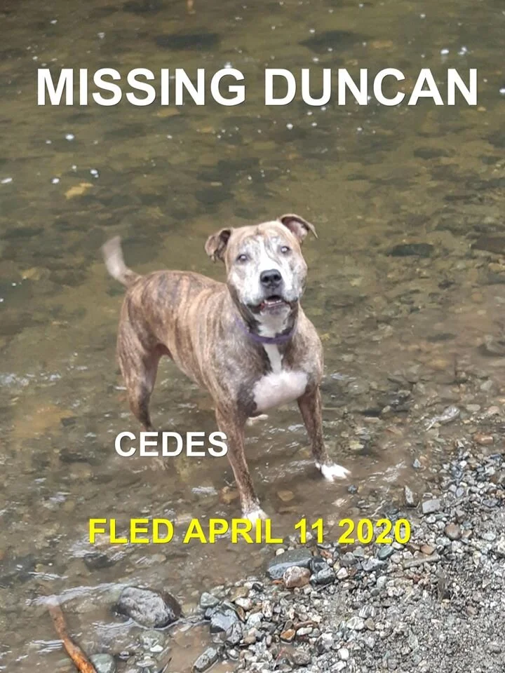 HAPPY TAILS - DUNCAN BC - APR. 10/2020