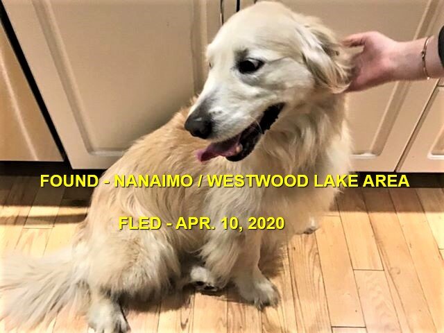 HAPPY TAILS - NANAIMO BC - APR. 10/2020