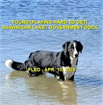 GONE HOME - SHAWNIGAN LAKE BC - APR. 10/2020