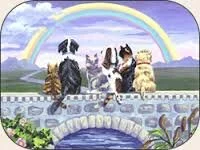 RAINBOW BRIDGE - VIEW ROYAL BC - APR. 9/2020