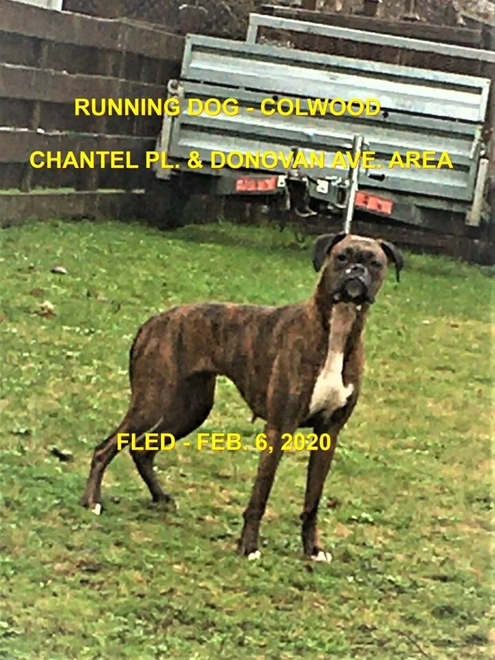 GONE HOME - COLWOOD BC - FEB. 6/2020