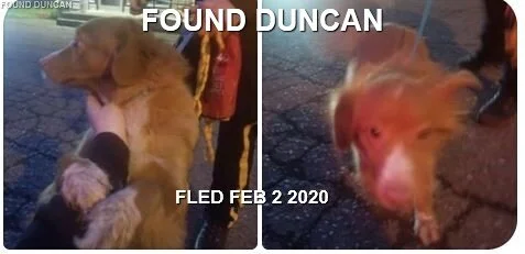 HAPPY TAILS - DUNCAN - FEB 2/2020