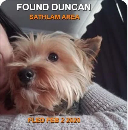 HAPPY TAILS - DUNCAN BC - FEB 2/2020