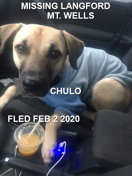 HAPPY TAILS - LANGFORD BC - FEB 2/2020