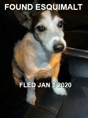 GONE HOME - ESQUIMALT BC - JAN. 2/2020