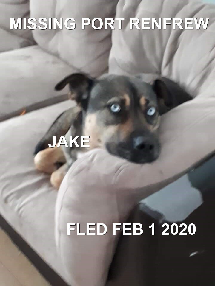 HAPPY TAILS - PORT RENFREW BC - FEB. 1/2020