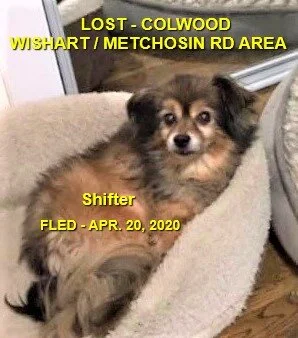 HAPPY TAILS - COLWOOD - APR. 20/20